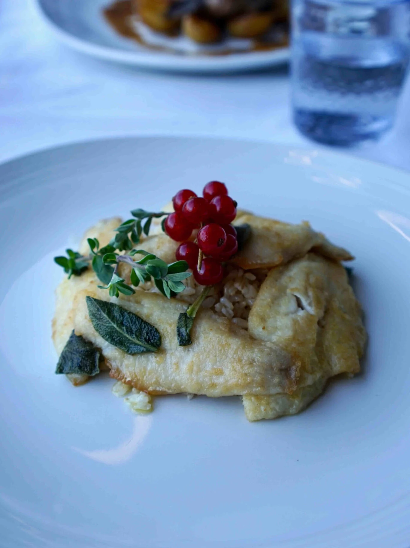 plat_poisson_2